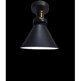 Mylights Siyah İçi Beyaz En 18 cm Retro Ploonyer Tavan Rustik Avize