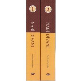 Nabi Divanı 2 Kitap Takım - Ali Fuat