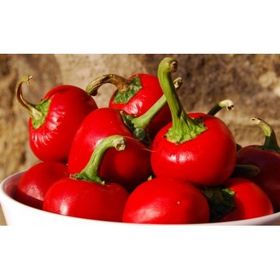 Nadir 10 Adet Aci Cherry Kiraz Biberi Tohumu