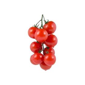 Nadir 10 Adet Beşdeli Erkenci Salkım Domates Tohumu