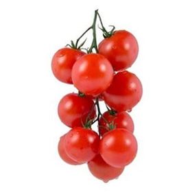 Nadir 10 Adet Beşdeli Erkenci Salkım Domates Tohumu