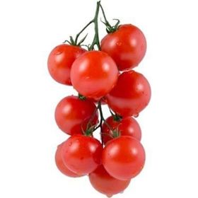 Nadir 10 Adet Beşdeli Erkenci Salkım Domates Tohumu