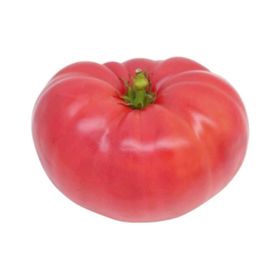 Nadir 10 Adet Geleneksel İri Pembe Domates Tohumu