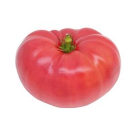 Nadir 10 Adet Geleneksel İri Pembe Domates Tohumu