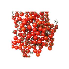 Nadir 10 Adet İthal Cherry Minik Bezelye Domates Tohumu