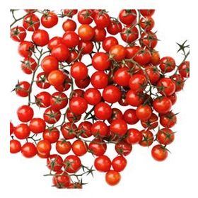 Nadir 10 Adet İthal Cherry Minik Bezelye Domates Tohumu