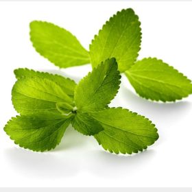Nadir 10 Adet Stevia Tohumu Şeker Otu Tohumu