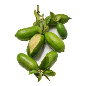Nadir 3 Adet Parmak Limon Tohumu