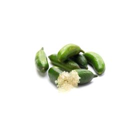 Nadir 3 Adet Parmak Limon Tohumu