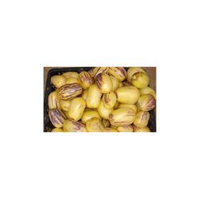 Nadir 5 Adet İthal Pepino Meyvesi Tohumu