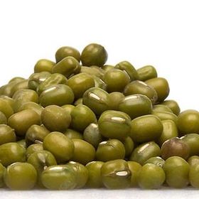 Nadir 5 Adet Mungo Fasülye Tohumu Mung Bean