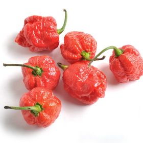 Nadir 5 Adet Trinidat Scorpion Acı Biber Tohumu