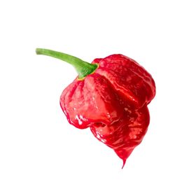 Nadir 5 Adet Trinidat Scorpion Acı Biber Tohumu