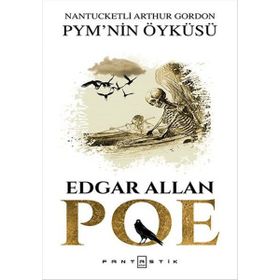 Nantucketli Arthur Gordon PMY’nin Öyküsü - edgar allen poe