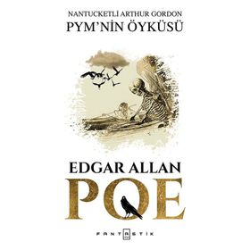 Nantucketli Arthur Gordon PMY’nin Öyküsü - edgar allen poe