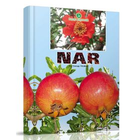 Nar - Dr. Cenap Yılmaz