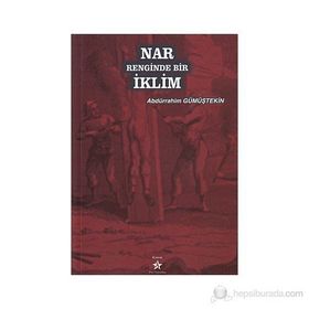 NAR RENGINDE BIR İKLİM - ABDÜRRAHİM GÜMÜŞTEKİN