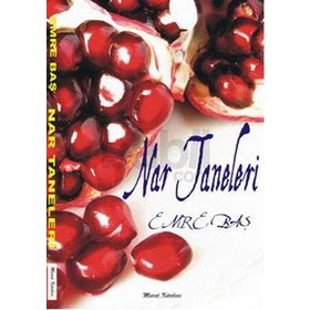 NAR TANELERI: GAYRIRESMI PORTRELER - SEZAI SARIOĞLU