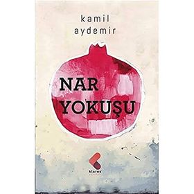 Nar Yokuşu - Kamil Aydemir