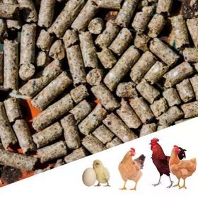 Narım 20 kg Pelet Proteinli Özel Tavuk Kaz Ördek ve Kanatlı Hayvan Besi Yumurta Yemi