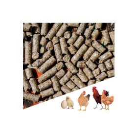 Narım 20 kg Pelet Proteinli Özel Tavuk Kaz Ördek ve Kanatlı Hayvan Besi Yumurta Yemi
