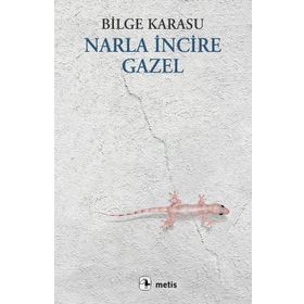 NARLA İNCİRE GAZEL - BILGE KARASU