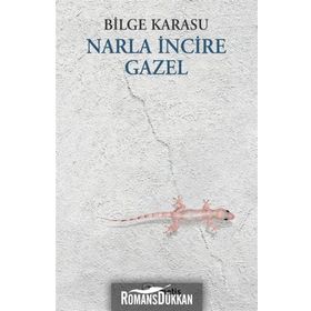 NARLA İNCİRE GAZEL - BILGE KARASU