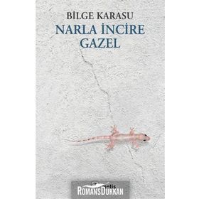 NARLA İNCİRE GAZEL - BILGE KARASU