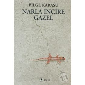 NARLA İNCİRE GAZEL - BILGE KARASU