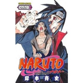 Naruto 43.Cilt - Masaşi Kişimoto