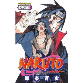 Naruto 43.Cilt - Masaşi Kişimoto
