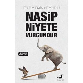 Nasip Niyete Vurgundur - Ethem Emin Nemutlu