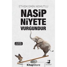 Nasip Niyete Vurgundur - Ethem Emin Nemutlu