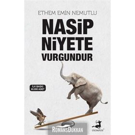 Nasip Niyete Vurgundur - Ethem Emin Nemutlu