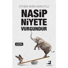 Nasip Niyete Vurgundur - Ethem Emin Nemutlu