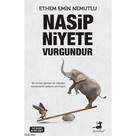 Nasip Niyete Vurgundur - Ethem Emin Nemutlu