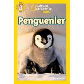 National Geographic 9786052429808 Kids Penguenler