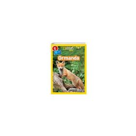 National Geographic Kids - Ormanda: Seviye 1