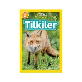 Natıonal Geographıc / Tilkiler - Seviye 2 - Beta Kids Yayınları