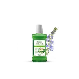 Natur Vital 500 ml Nane Aromalı Antiseptik Gargara