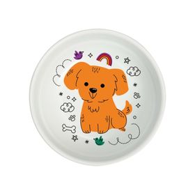 Natura 400 ml Rainbow Seramik Köpek Mama Kabı