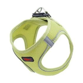 Natura Pet S Yosun Yeşili Air Net Bel Tasması