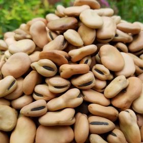 Natural Köy Ürünleri 5 kg Kuru Bakla