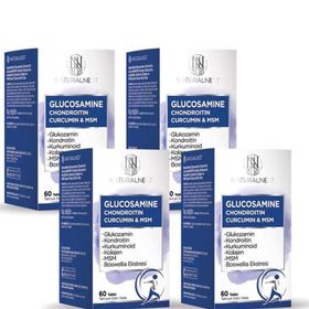 NaturalNest Glucosamine Chondroitin Curcumin MSM 60 Tablet