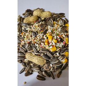 Nature Plan 1 kg Açık Jako Amazon Kakadu Papağanı Yemi