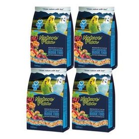 Nature Plan 4x1000 gr Meyve Aromalı + Ballı Muhabbet Kuşu Yemi