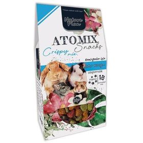 Nature Plan Atomix Snacks Mixture of 250 gr Kemirgen Yemi