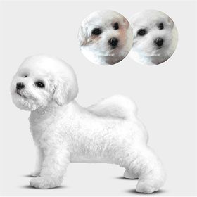 Natures Protection Adult Kuzu Etli Küçük Irk Beyaz Tüylü Yetişkin 17 kg Köpek Maması