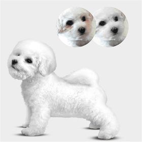 Natures Protection Adult Kuzu Etli Küçük Irk Beyaz Tüylü Yetişkin 17 kg Köpek Maması