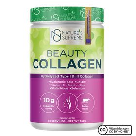 Nature's Supreme Beauty Collagen Hyaluronic Acid Erik Aromalı 360 gr Toz